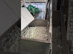 Yüksek Hızlı HDPE/PP Şişe Kapağı Offset Baskı Makinesi